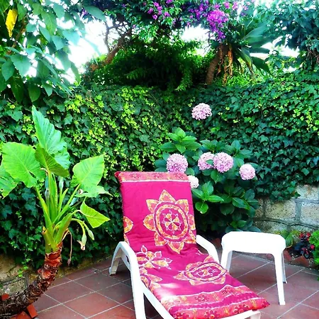 In Barano D Ischia Mit Schoener Terrasse Apartamento *