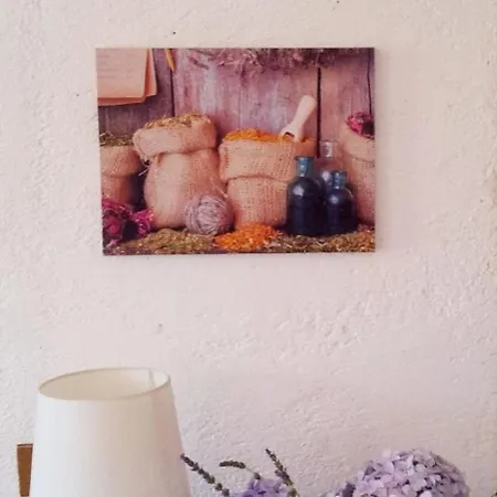Apartamento In Barano D Ischia Mit Schoener Terrasse
