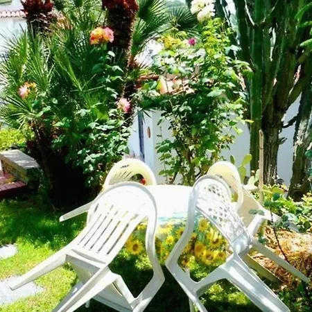 In Barano D Ischia Mit Schoener Terrasse Barano dʼIschia