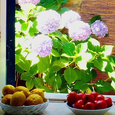In Barano D Ischia Mit Schoener Terrasse *
