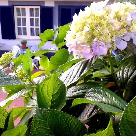 In Barano D Ischia Mit Schoener Terrasse Barano dʼIschia