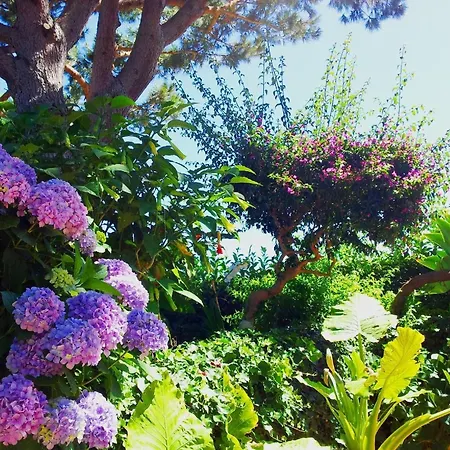 In Barano D Ischia Mit Schoener Terrasse *