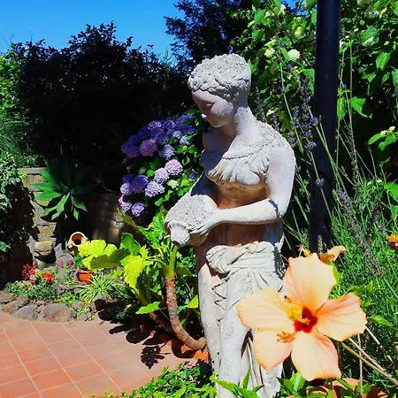Apartamento In Barano D Ischia Mit Schoener Terrasse *